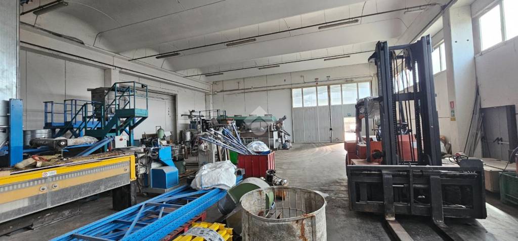 immagine annuncio 5 di 12