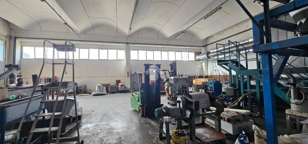 immagine annuncio 7 di 12