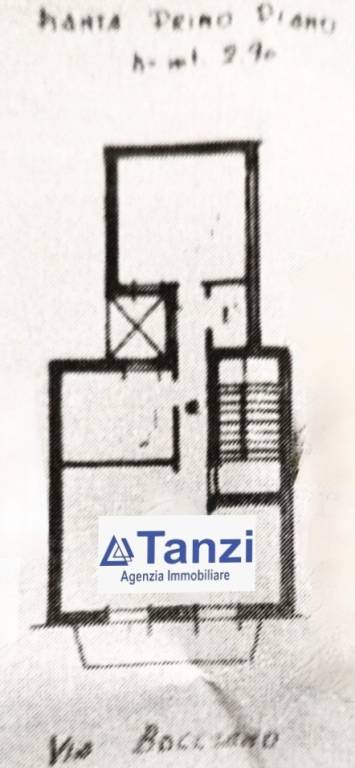 immagine annuncio 12 di 14