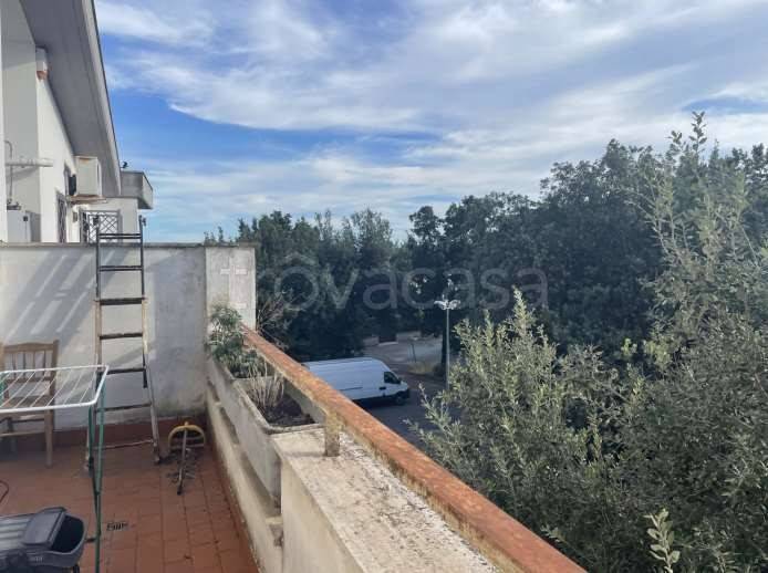 immagine annuncio 4 di 9