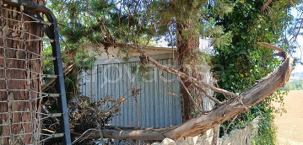 immagine annuncio 6 di 12