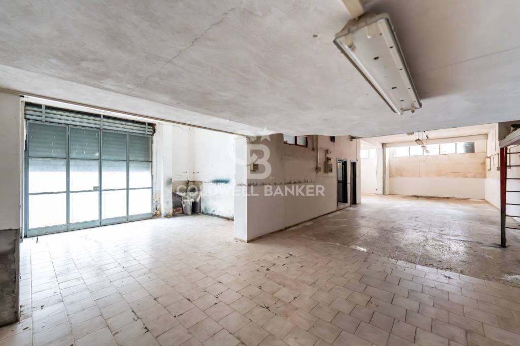 immagine annuncio 1 di 14