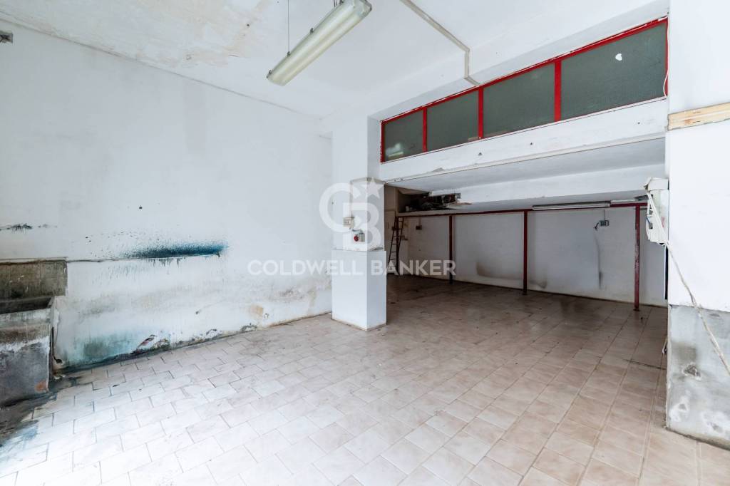 immagine annuncio 6 di 14