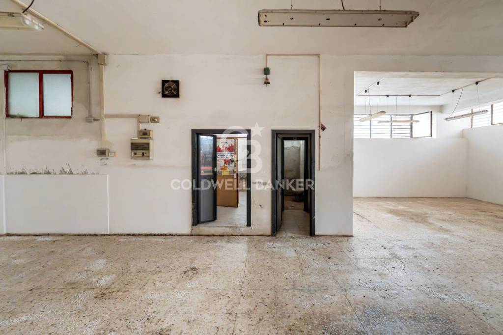 immagine annuncio 7 di 14