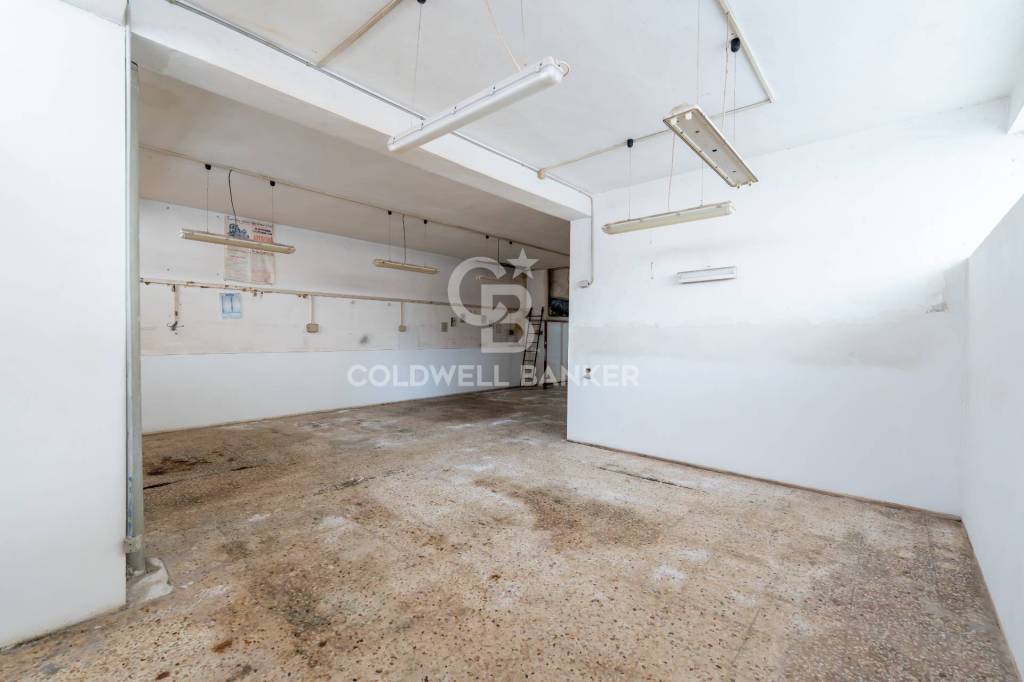 immagine annuncio 9 di 14