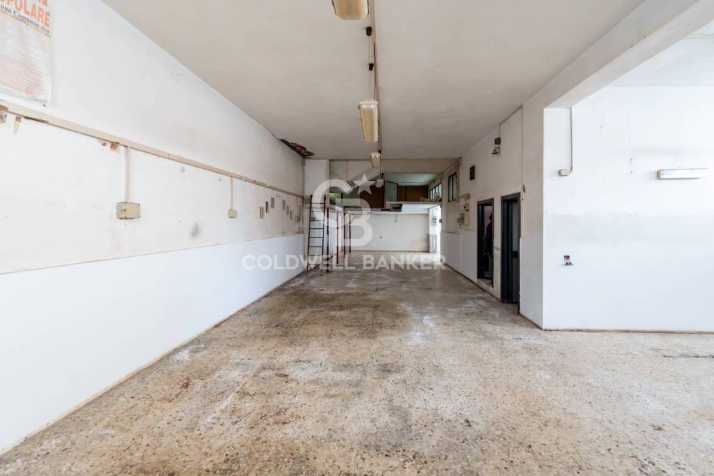 immagine annuncio 10 di 14