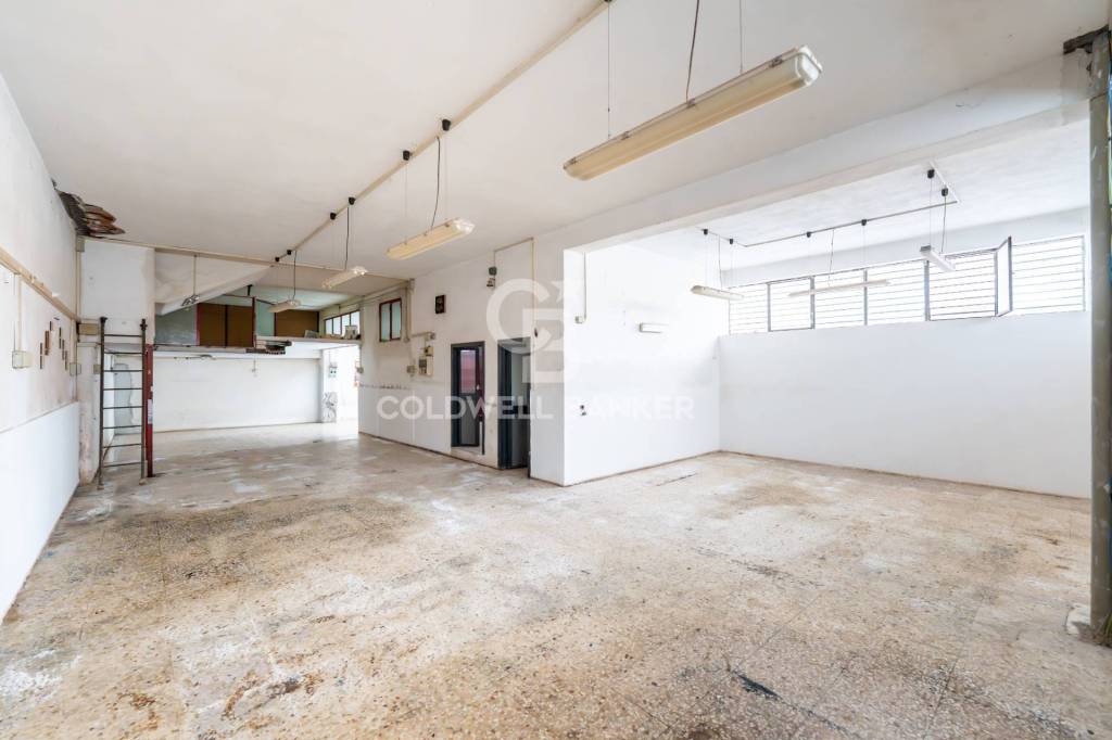 immagine annuncio 11 di 14