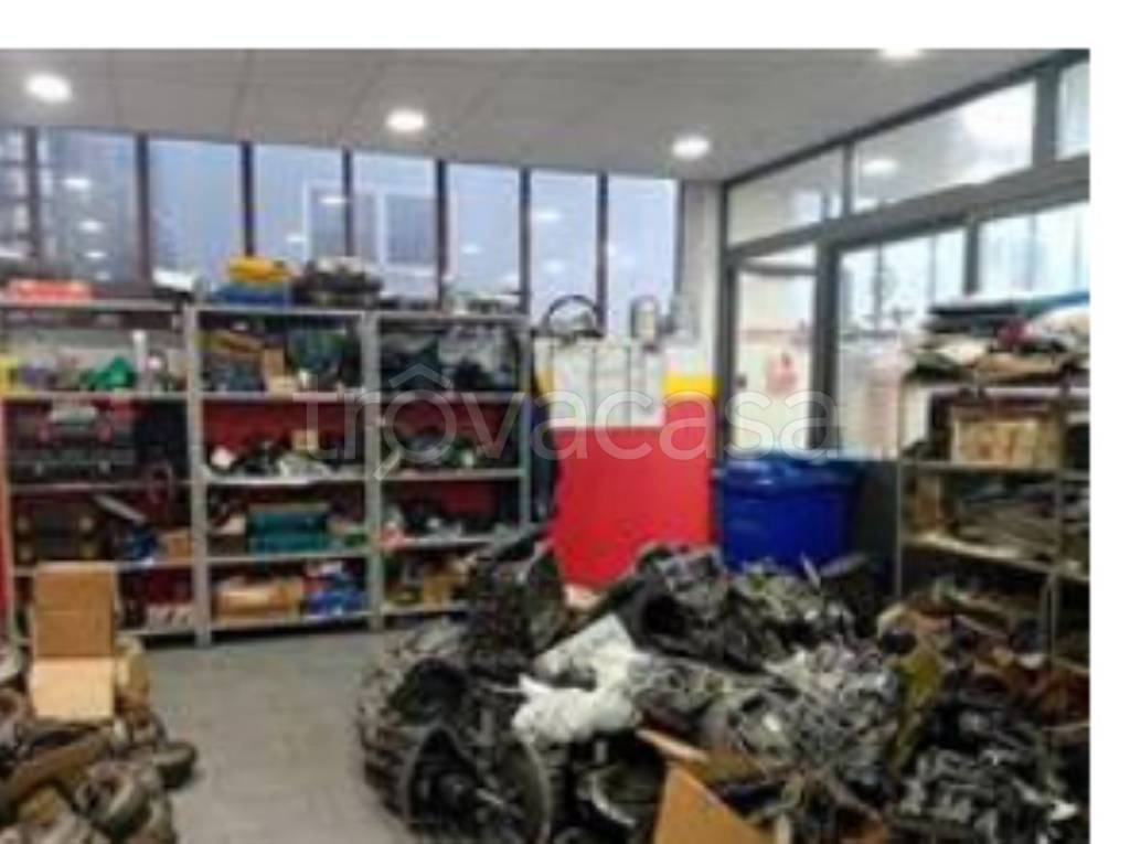 immagine annuncio 4 di 8