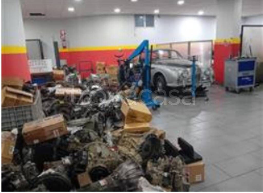 immagine annuncio 6 di 8