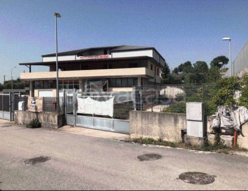 immagine annuncio 12 di 13