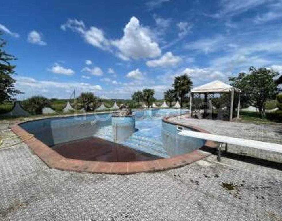 immagine annuncio 8 di 12