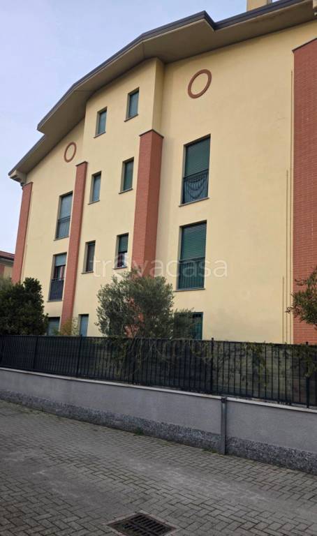 immagine annuncio 2 di 15