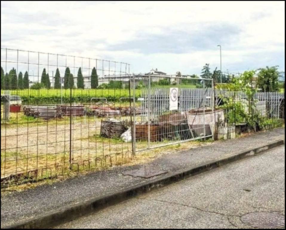 immagine annuncio 3 di 11