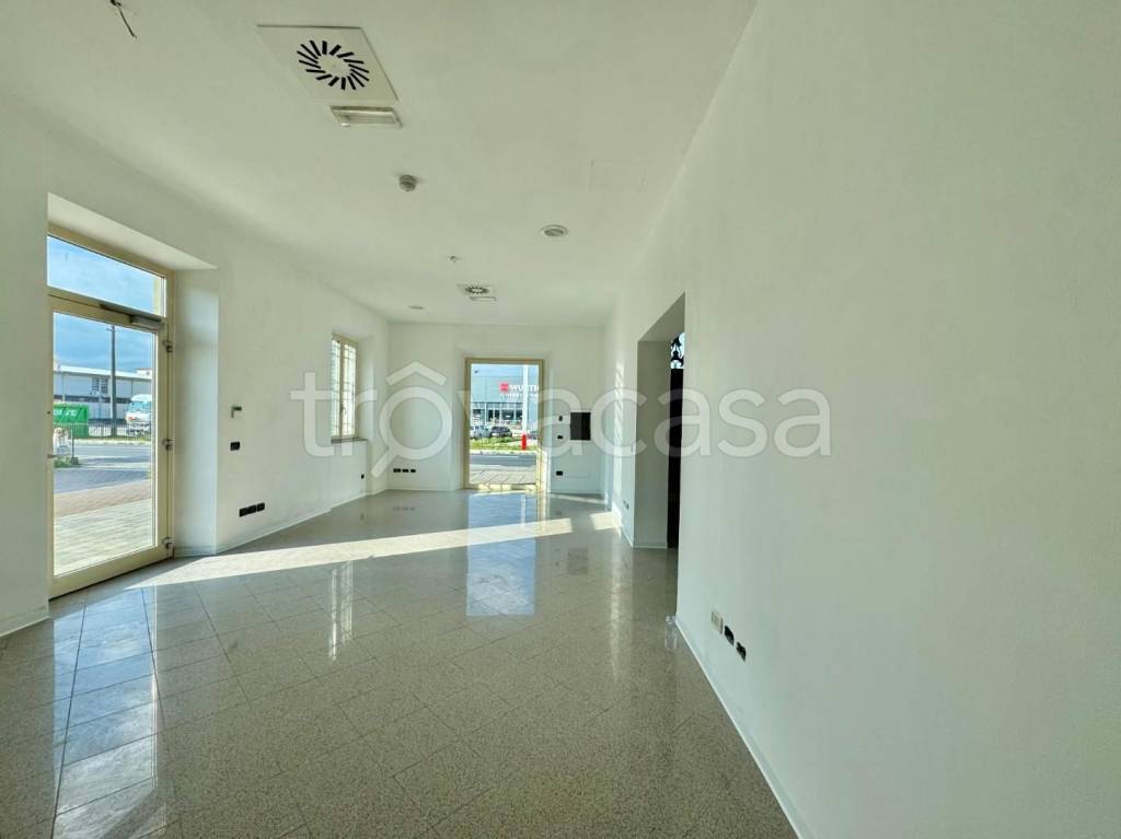 immagine annuncio 4 di 12