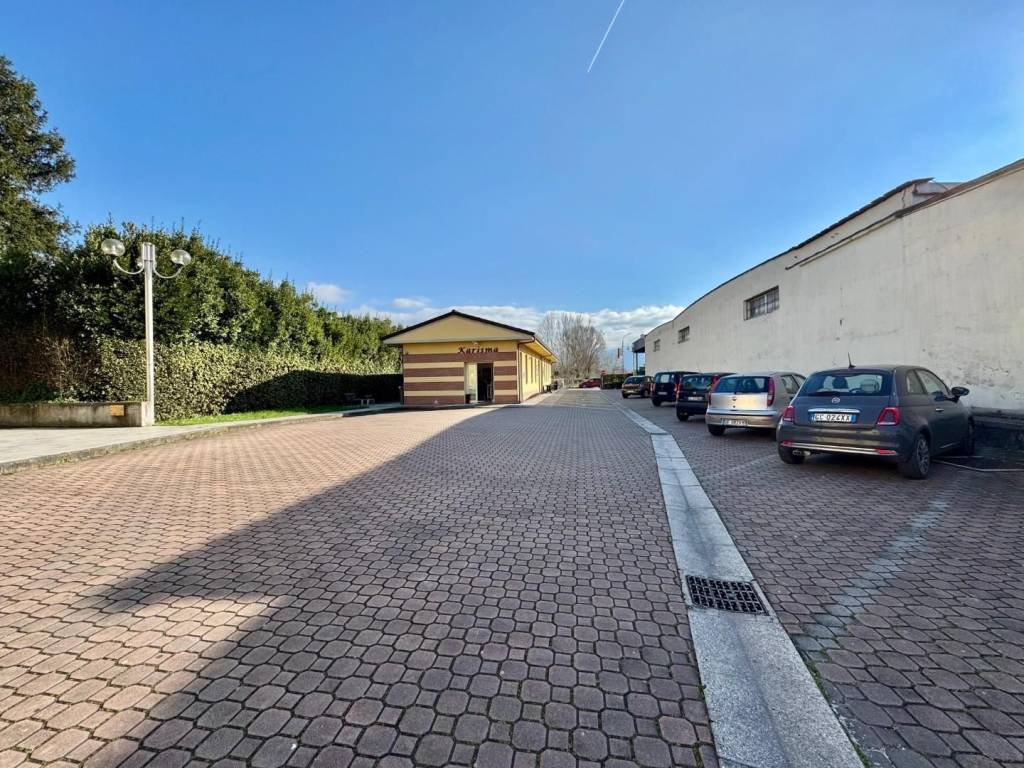 immagine annuncio 11 di 12