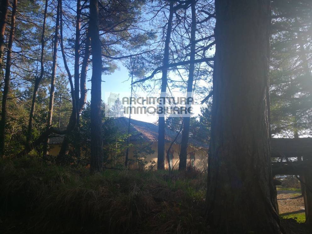 immagine annuncio 10 di 14