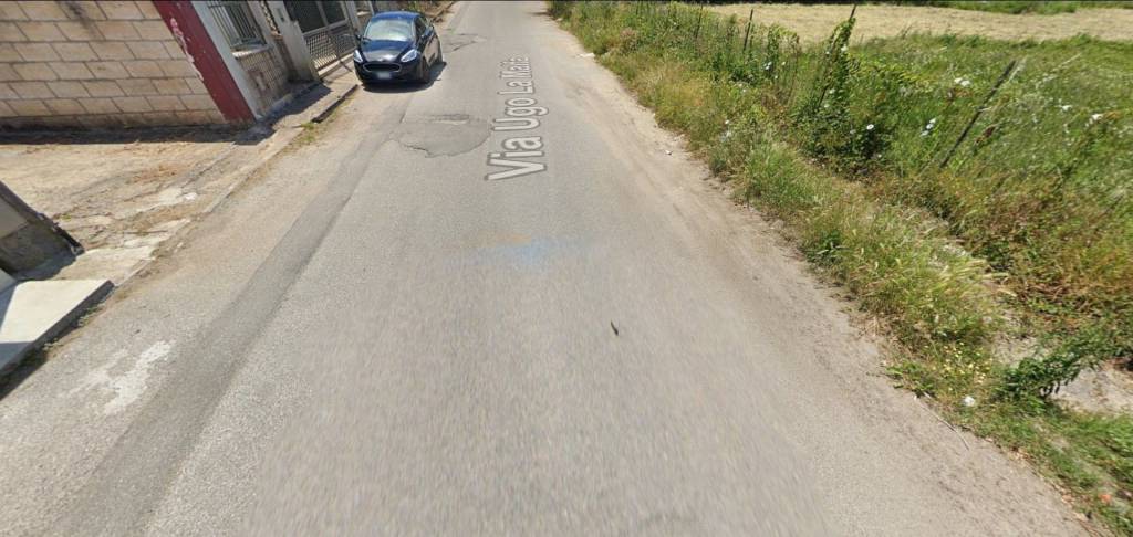 immagine annuncio 12 di 14