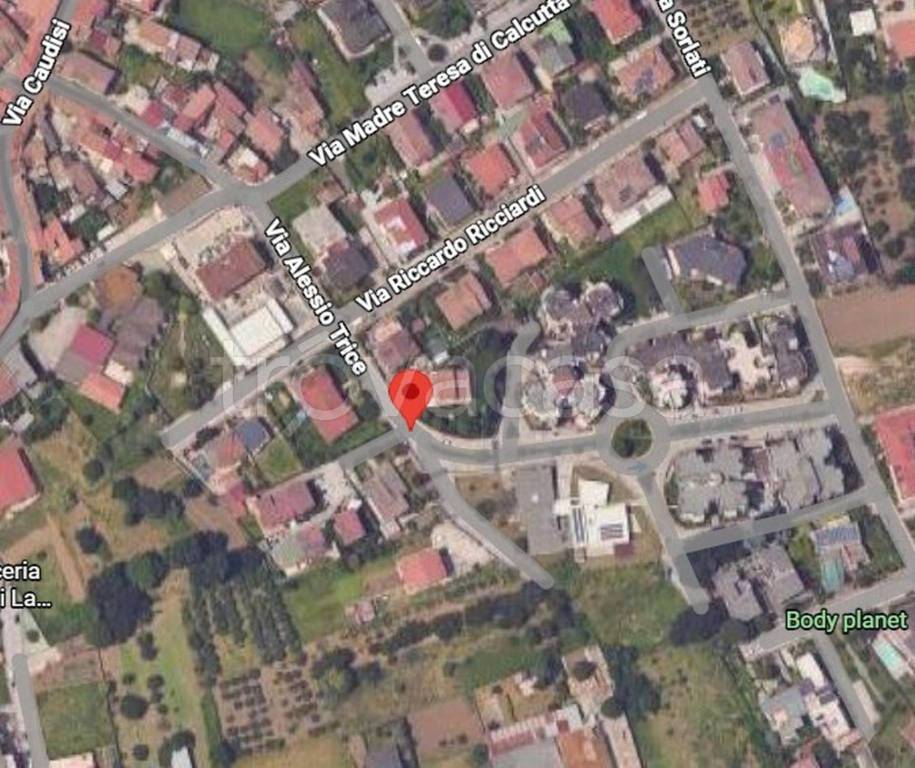 immagine annuncio 3 di 11