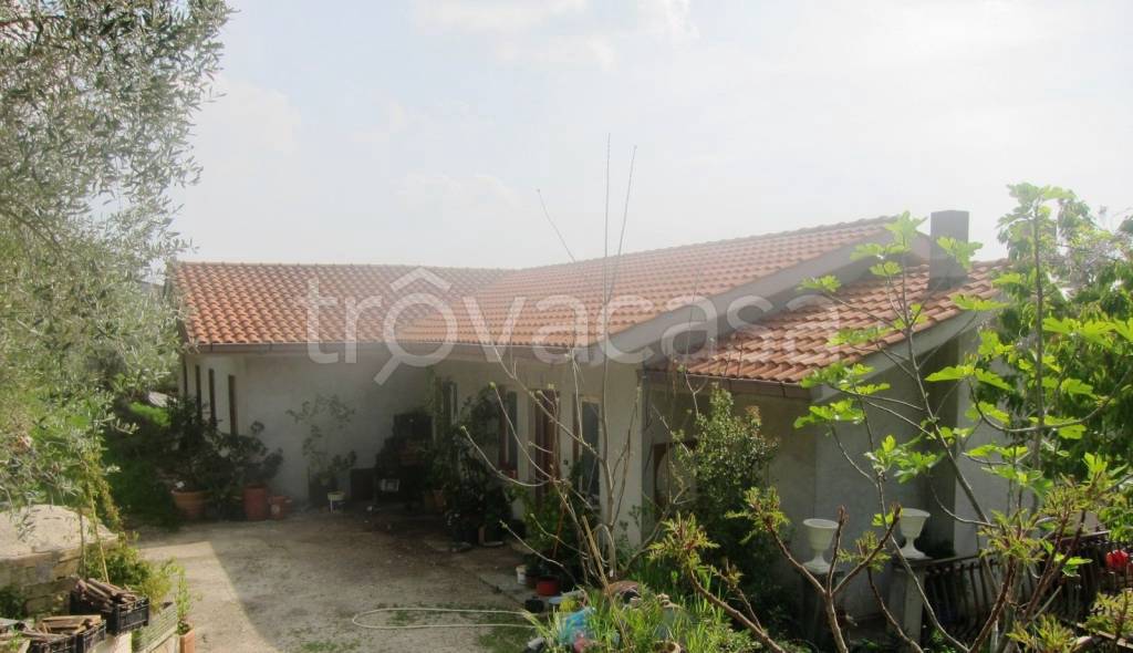 immagine annuncio 1 di 8