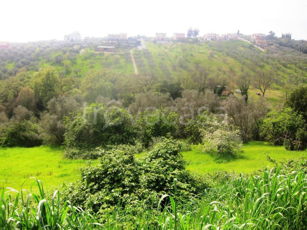 immagine annuncio 5 di 8