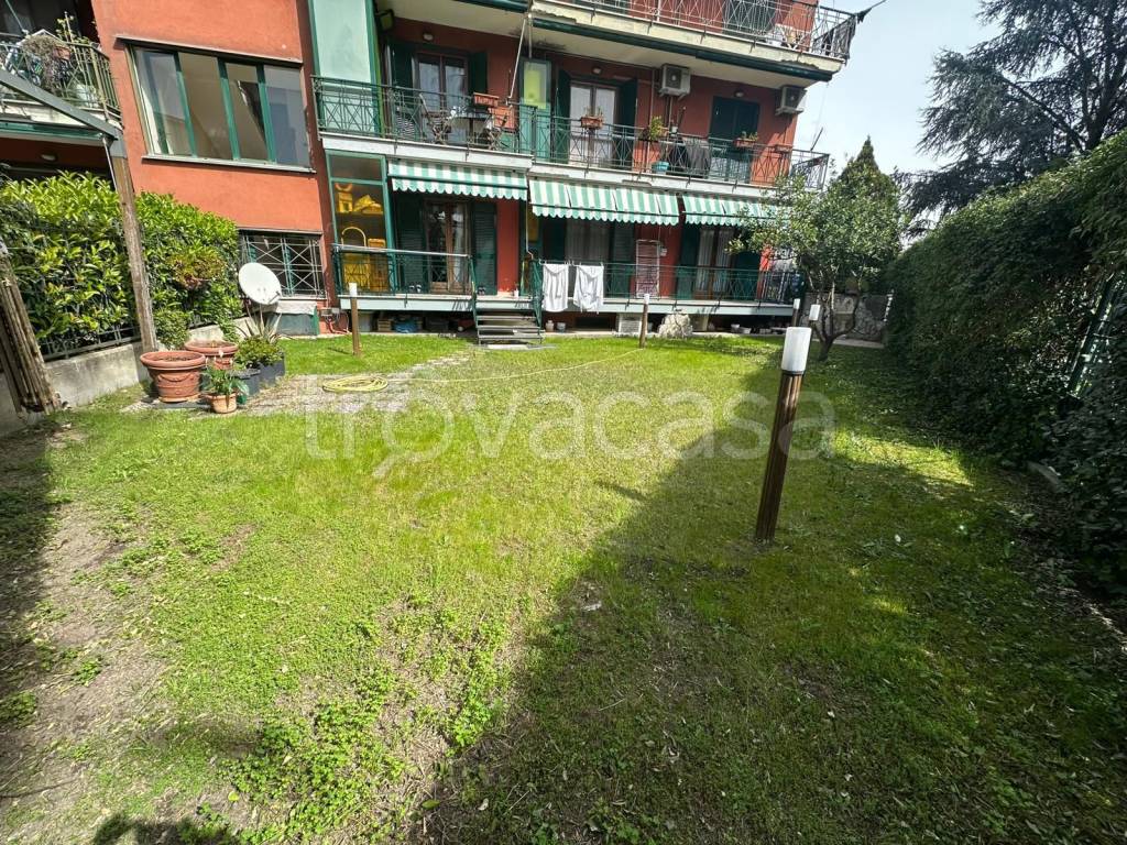 immagine annuncio 6 di 15