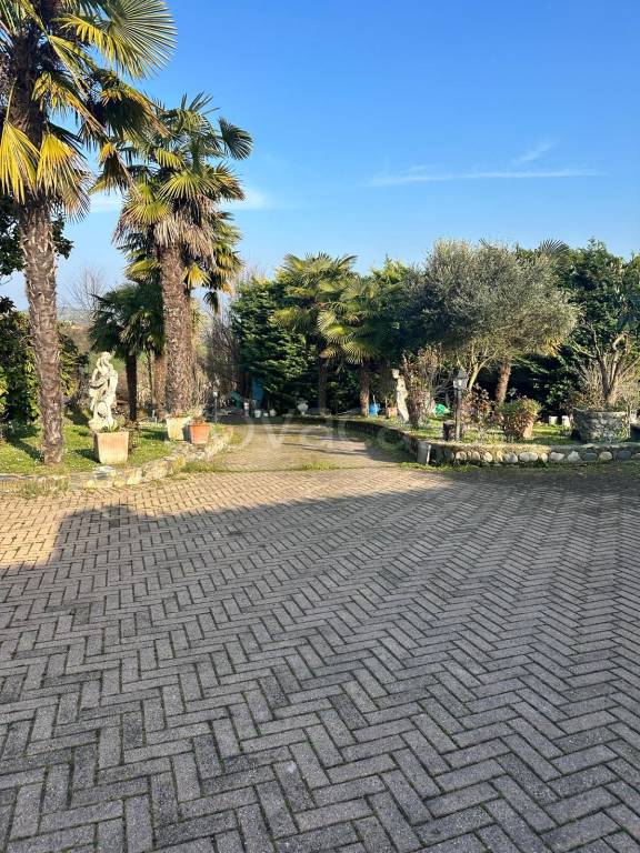 immagine annuncio 3 di 15