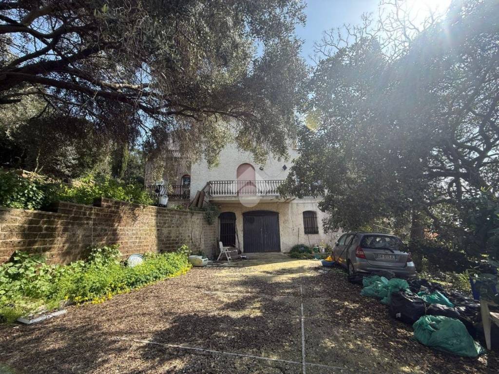 immagine annuncio 8 di 12