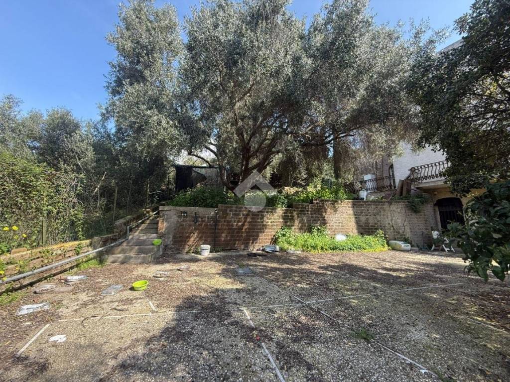 immagine annuncio 9 di 12