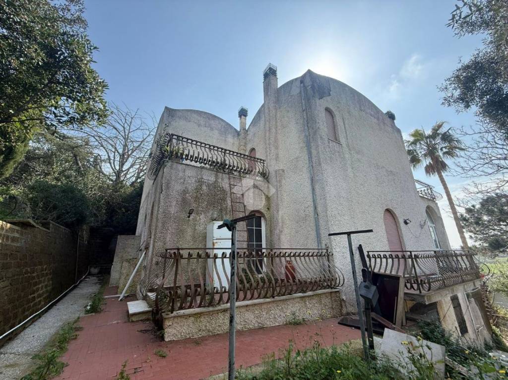 immagine annuncio 10 di 12