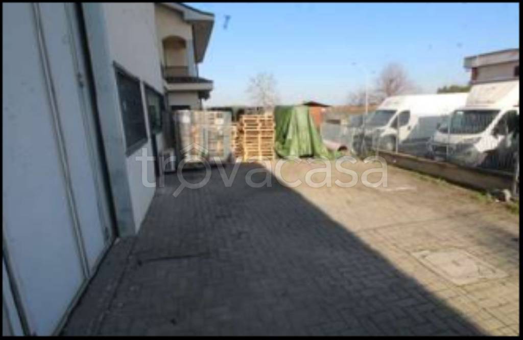 immagine annuncio 4 di 15