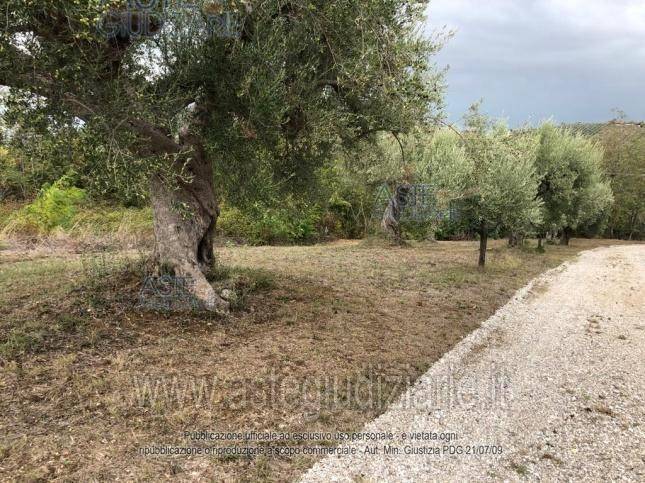 immagine annuncio 4 di 12