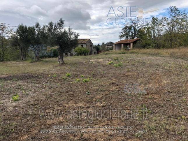 immagine annuncio 8 di 12