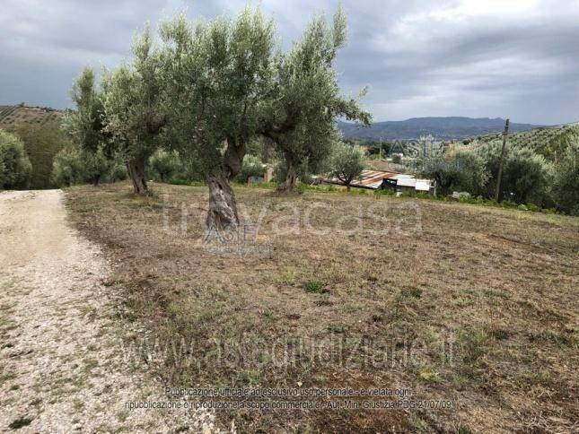 immagine annuncio 9 di 12