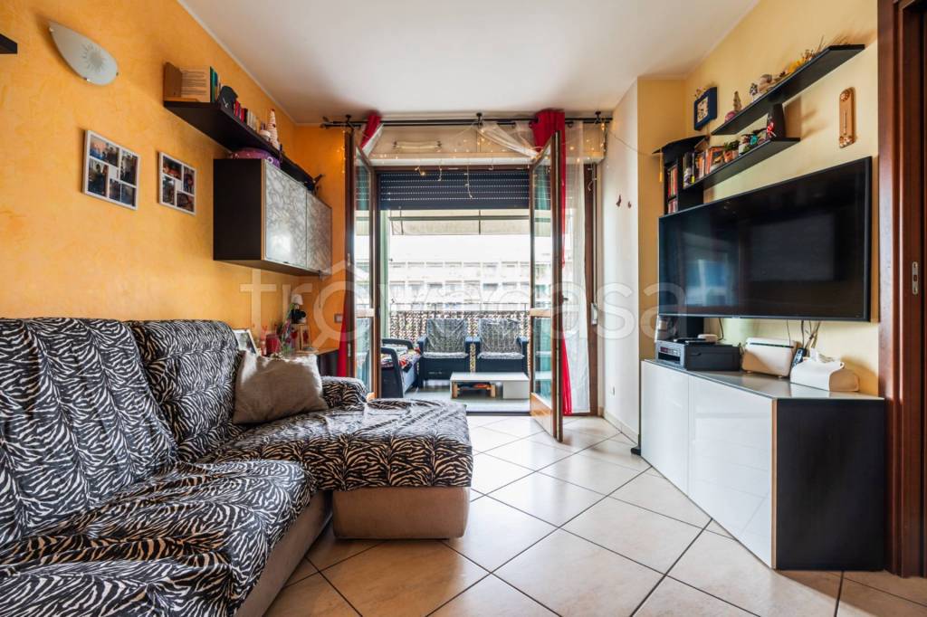 immagine annuncio 9 di 15