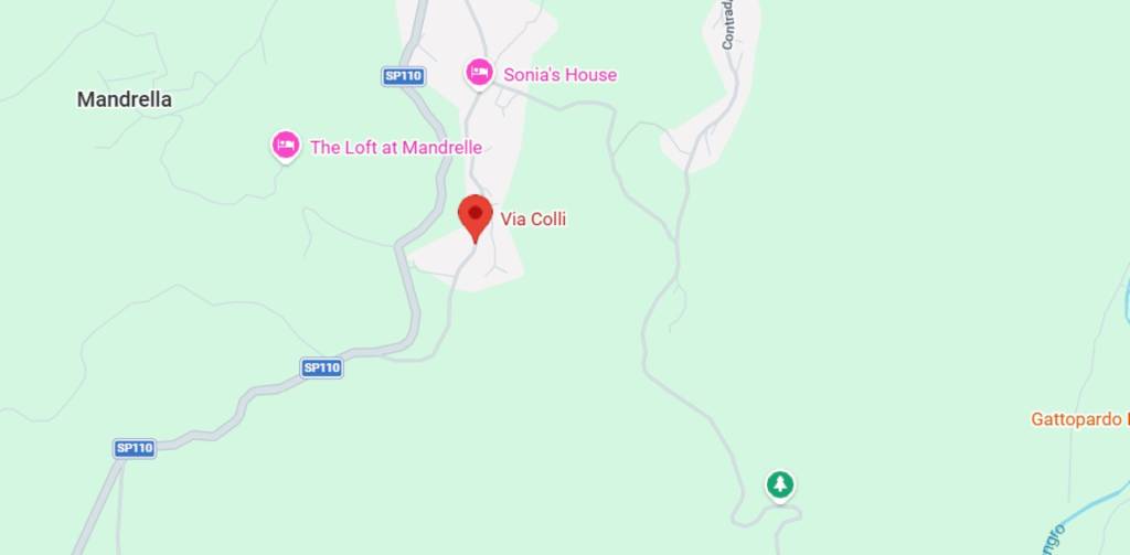 immagine annuncio 3 di 11