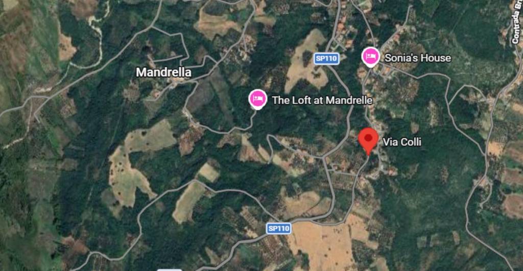 immagine annuncio 4 di 11