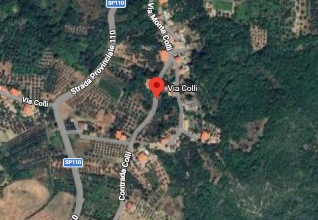 immagine annuncio 5 di 11