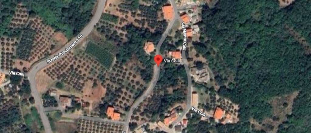 immagine annuncio 6 di 11