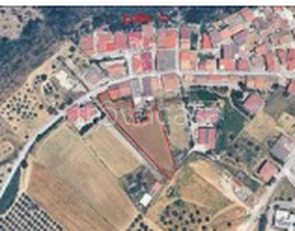 immagine annuncio 6 di 11