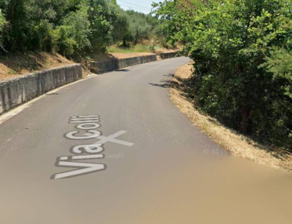 immagine annuncio 10 di 11