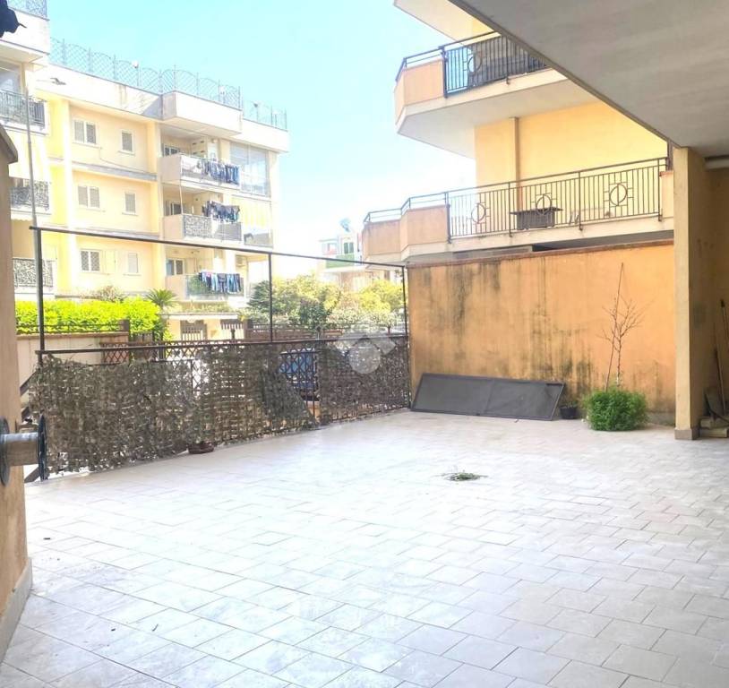 immagine annuncio 10 di 14