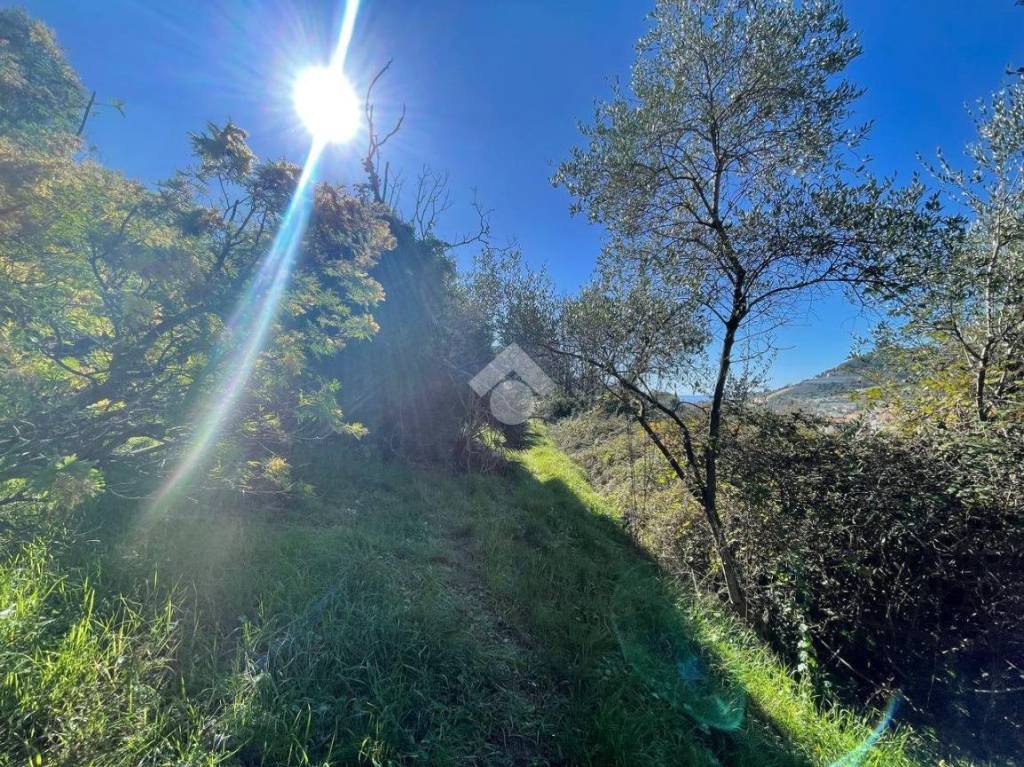 immagine annuncio 7 di 12