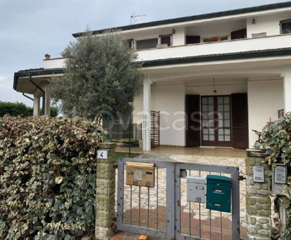 immagine annuncio 1 di 11