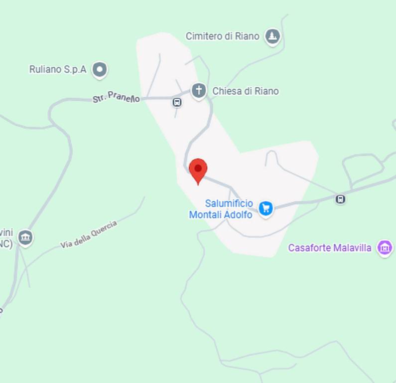 immagine annuncio 10 di 13