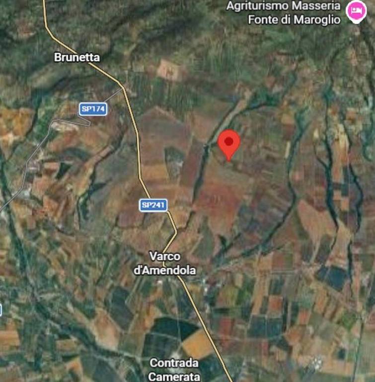 immagine annuncio 3 di 10