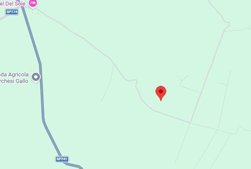 immagine annuncio 7 di 10