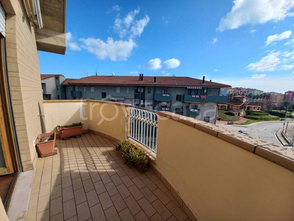 immagine annuncio 7 di 15