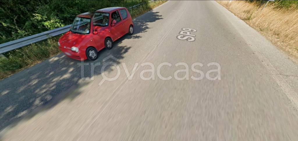 immagine annuncio 2 di 13