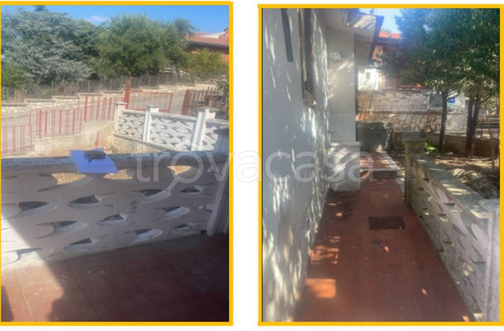 immagine annuncio 9 di 12