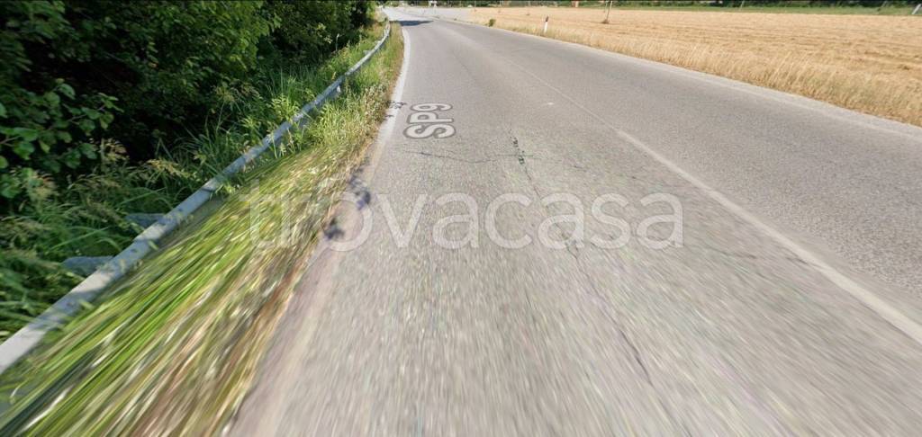 immagine annuncio 7 di 13